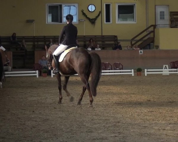 Reitturnier Frechen-Grefrath - Sonnenhof 2017