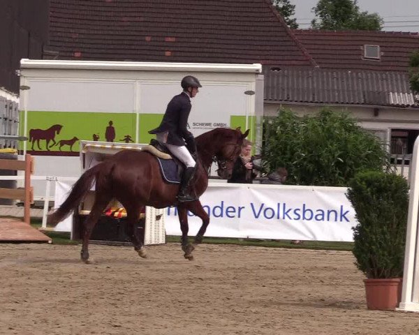 Reitturnier Dortmund-Asseln 2017