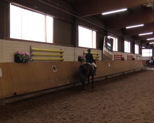 Reitturnier Dortmund-Asseln 2017