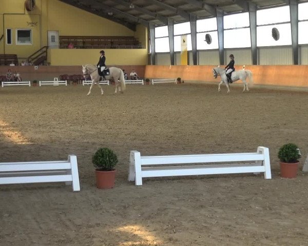 Reitturnier Frechen-Grefrath - Sonnenhof 2017