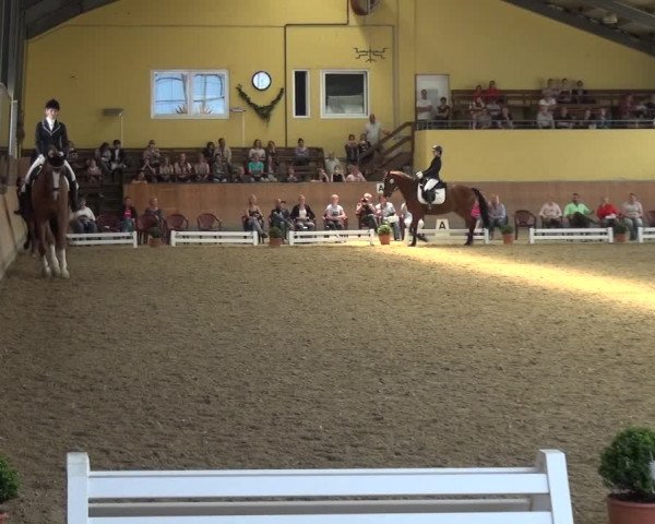 Reitturnier Frechen-Grefrath - Sonnenhof 2017