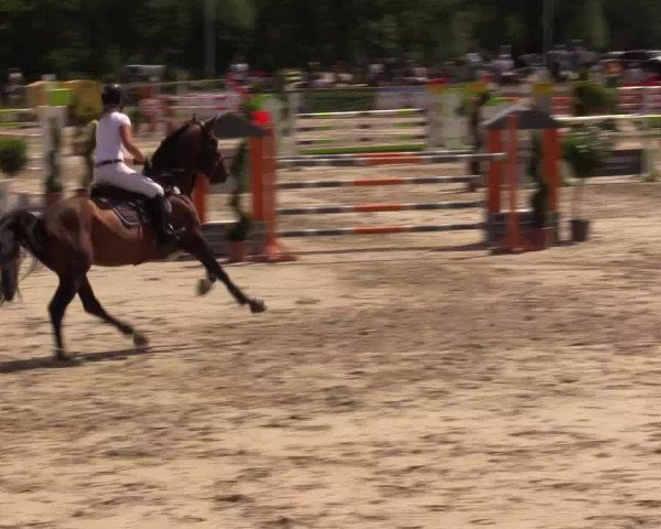 Reitturnier Detmold-Remmighausen 2017