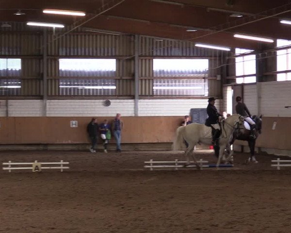 Reitturnier Dortmund-Asseln 2017