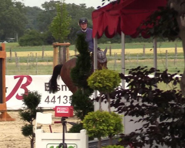 Reitturnier Dortmund-Asseln 2017