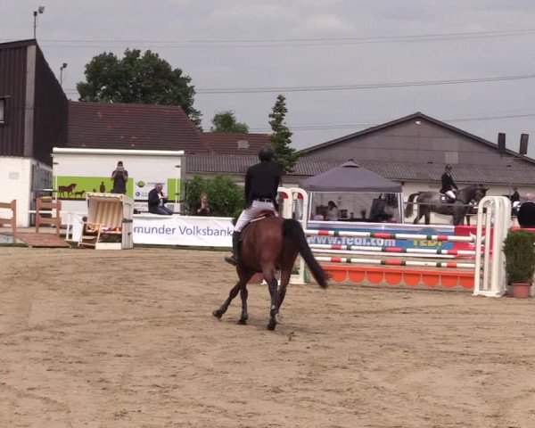 Reitturnier Dortmund-Asseln 2017