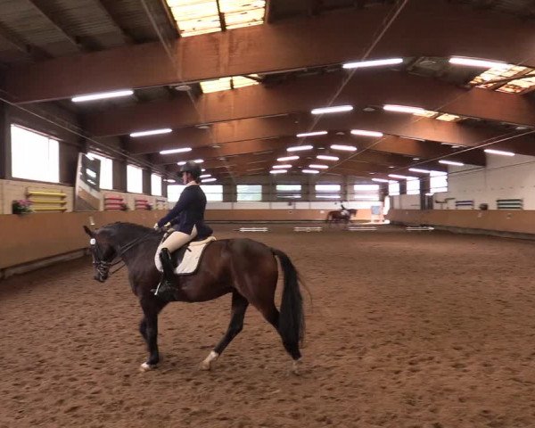 Reitturnier Dortmund-Asseln 2017