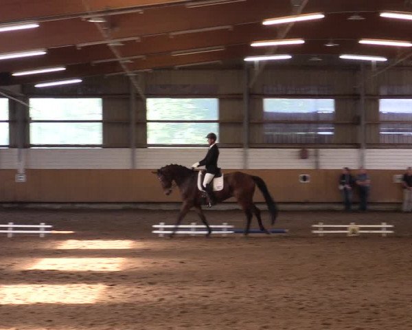 Reitturnier Dortmund-Asseln 2017