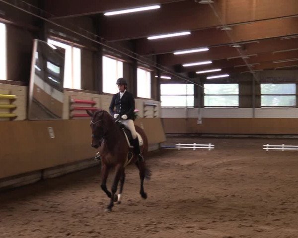 Reitturnier Dortmund-Asseln 2017