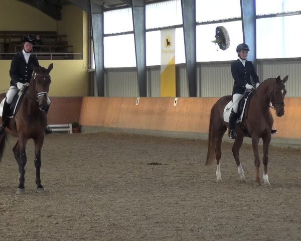 Reitturnier Frechen-Grefrath - Sonnenhof 2017