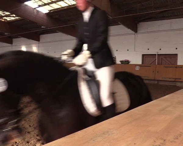 Reitturnier Dortmund-Asseln 2017