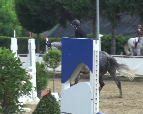 Reitturnier Frechen-Grefrath - Sonnenhof 2017