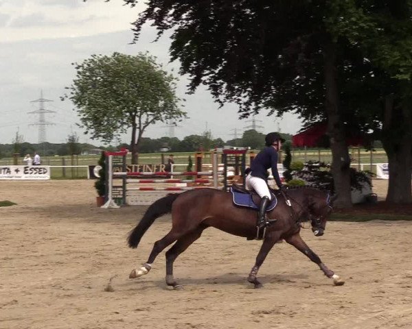 Reitturnier Dortmund-Asseln 2017