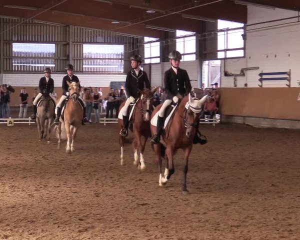 Reitturnier Dortmund-Asseln 2017