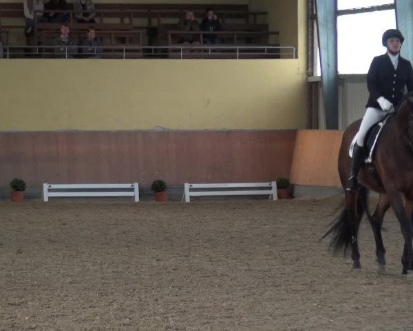 Reitturnier Frechen-Grefrath - Sonnenhof 2017