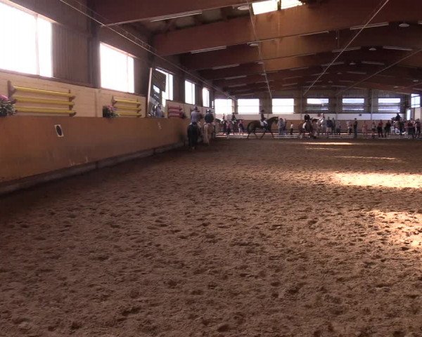 Reitturnier Dortmund-Asseln 2017