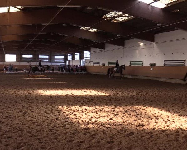 Reitturnier Dortmund-Asseln 2017