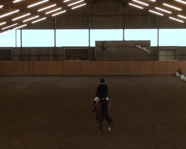 Reitturnier Detmold-Remmighausen 2017