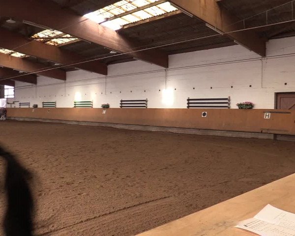 Reitturnier Dortmund-Asseln 2017