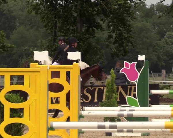 Reitturnier Dortmund-Asseln 2017