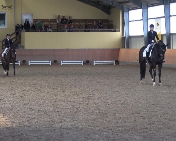 Reitturnier Frechen-Grefrath - Sonnenhof 2017