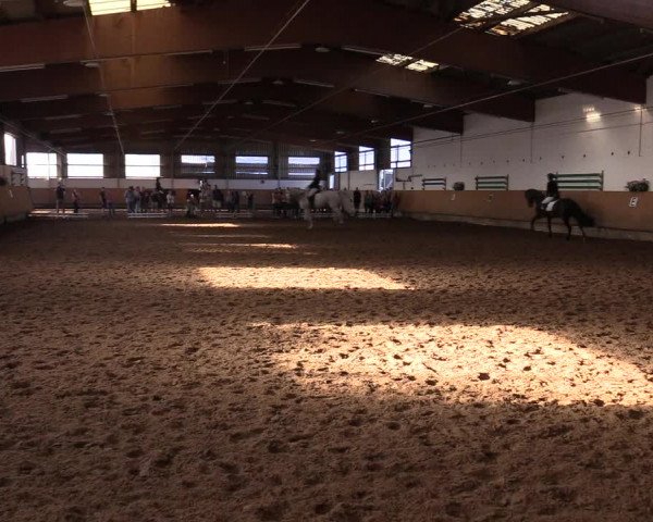 Reitturnier Dortmund-Asseln 2017