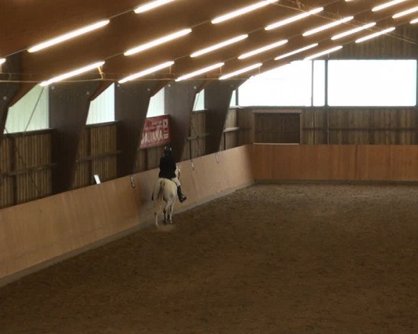 Reitturnier Detmold-Remmighausen 2017