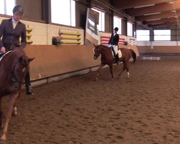 Reitturnier Dortmund-Asseln 2017