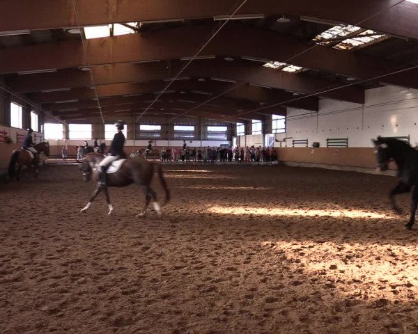 Reitturnier Dortmund-Asseln 2017