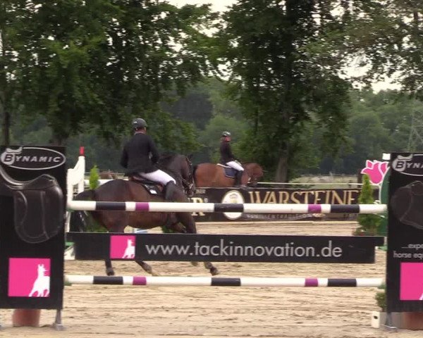 Reitturnier Dortmund-Asseln 2017