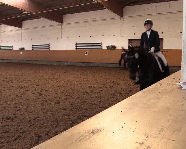 Reitturnier Dortmund-Asseln 2017