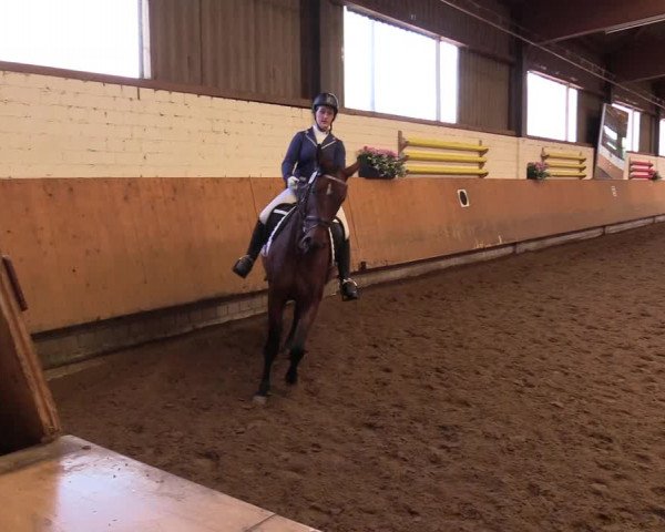 Reitturnier Dortmund-Asseln 2017