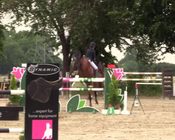 Reitturnier Dortmund-Asseln 2017