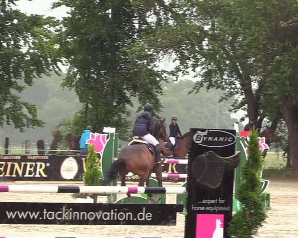 Reitturnier Dortmund-Asseln 2017