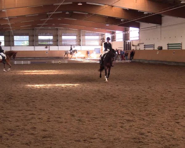 Reitturnier Dortmund-Asseln 2017