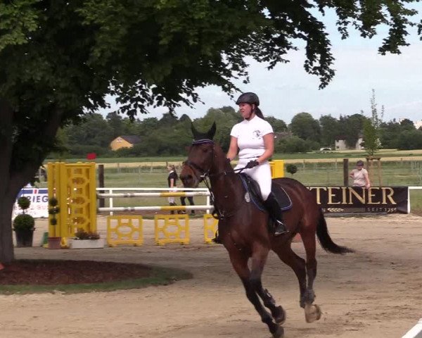 Reitturnier Dortmund-Asseln 2017