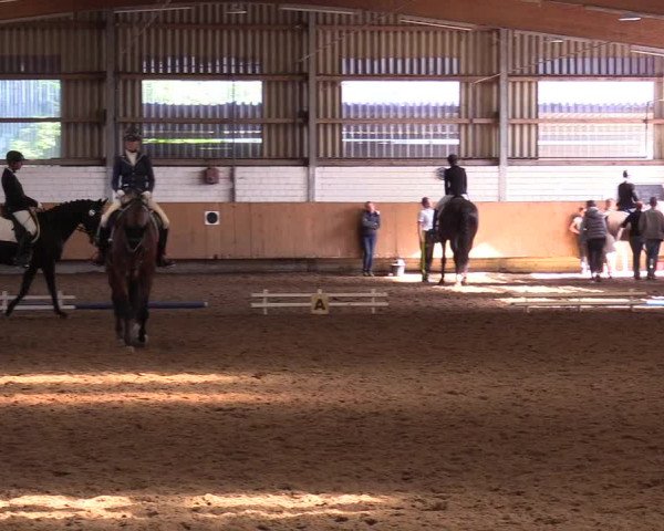 Reitturnier Dortmund-Asseln 2017