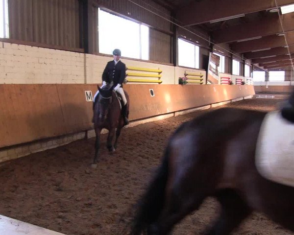 Reitturnier Dortmund-Asseln 2017