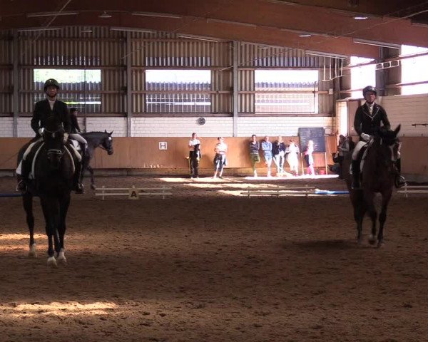 Reitturnier Dortmund-Asseln 2017