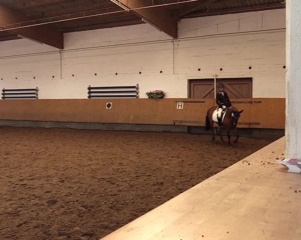 Reitturnier Dortmund-Asseln 2017