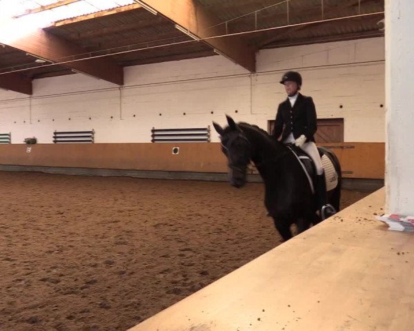 Reitturnier Dortmund-Asseln 2017