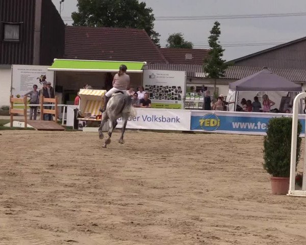 Reitturnier Dortmund-Asseln 2017