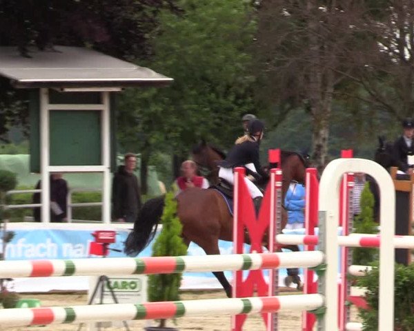 Reitturnier Dortmund-Asseln 2017