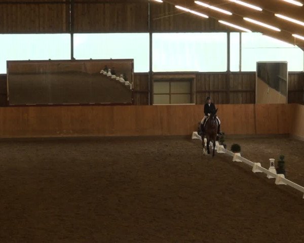 Reitturnier Detmold-Remmighausen 2017