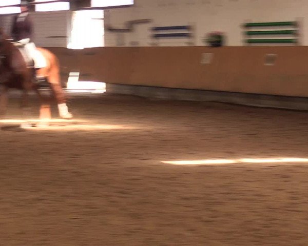 Reitturnier Dortmund-Asseln 2017