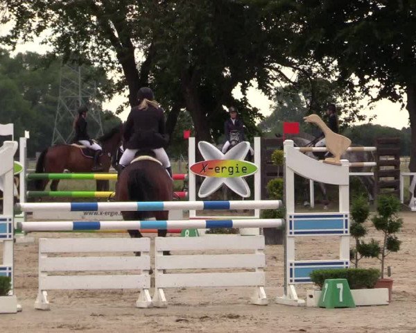 Reitturnier Dortmund-Asseln 2017