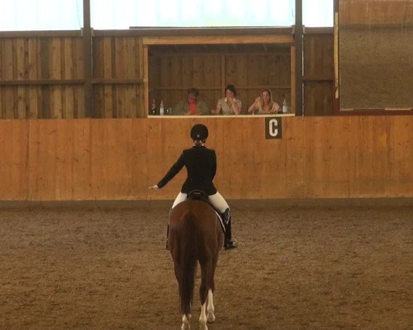 Reitturnier Detmold-Remmighausen 2017