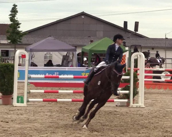 Reitturnier Dortmund-Asseln 2017
