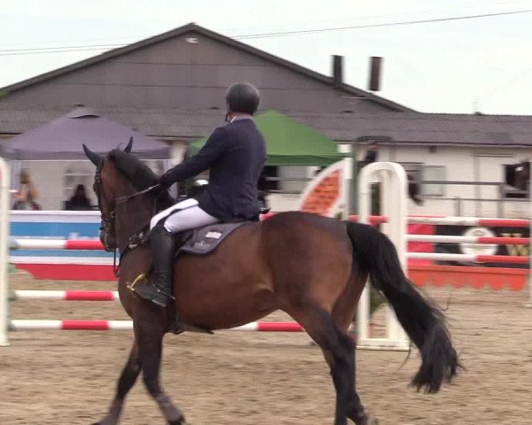 Reitturnier Dortmund-Asseln 2017