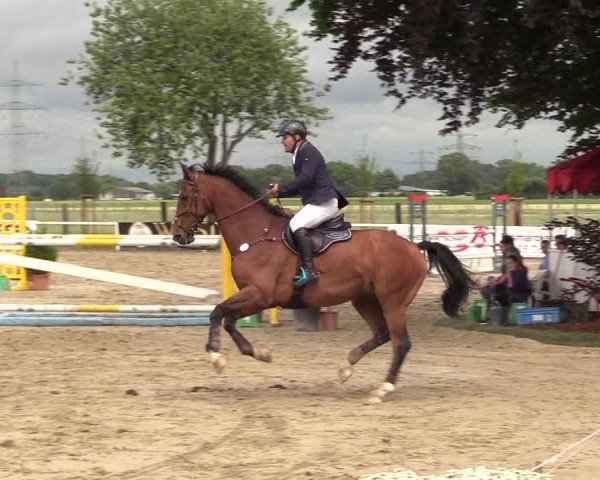 Reitturnier Dortmund-Asseln 2017