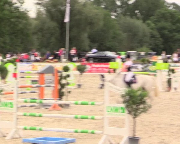 Reitturnier Detmold-Remmighausen 2017